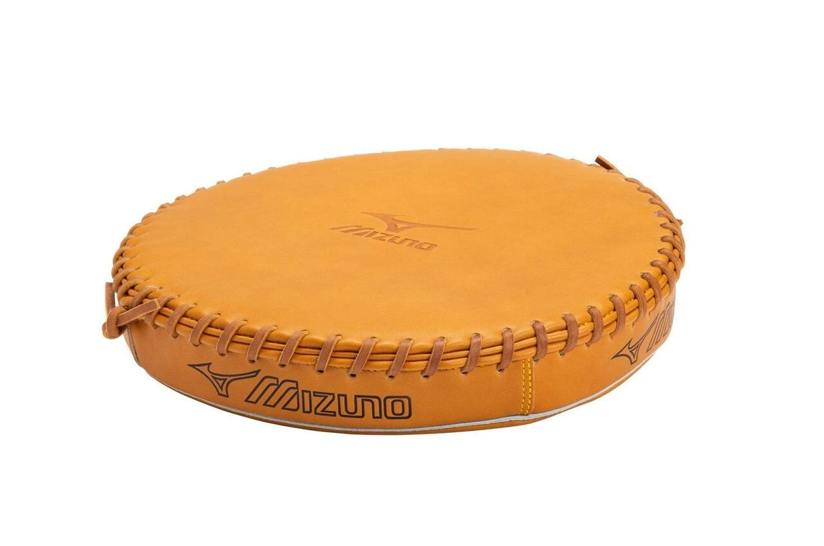 Ball Glove Pounding Pad